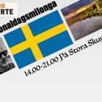 Nationaldagsmilonga vid Stora Skuggan